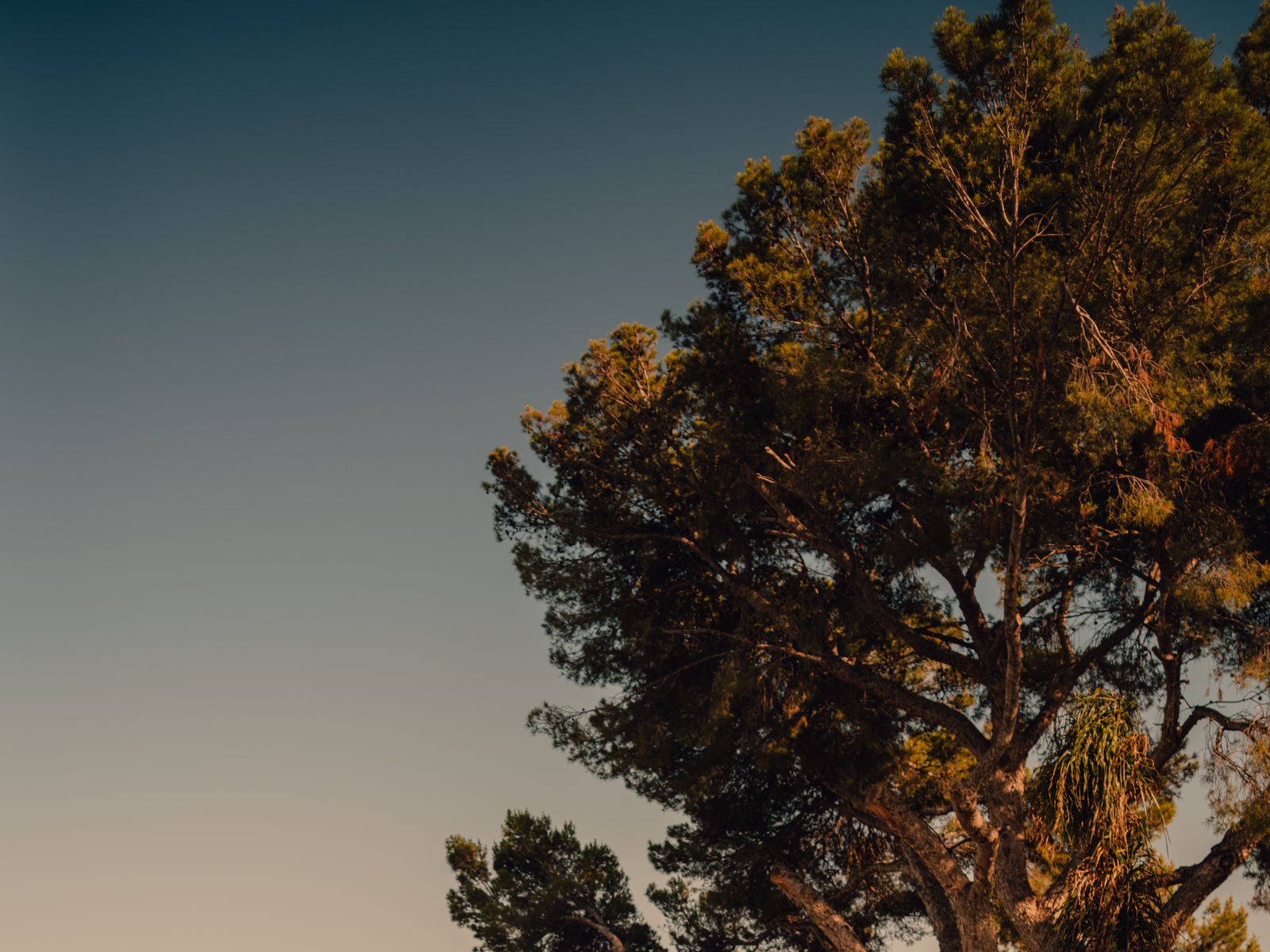 Urlaub auf Mallorca: Das sind die schönsten Hotels der Baleareninsel