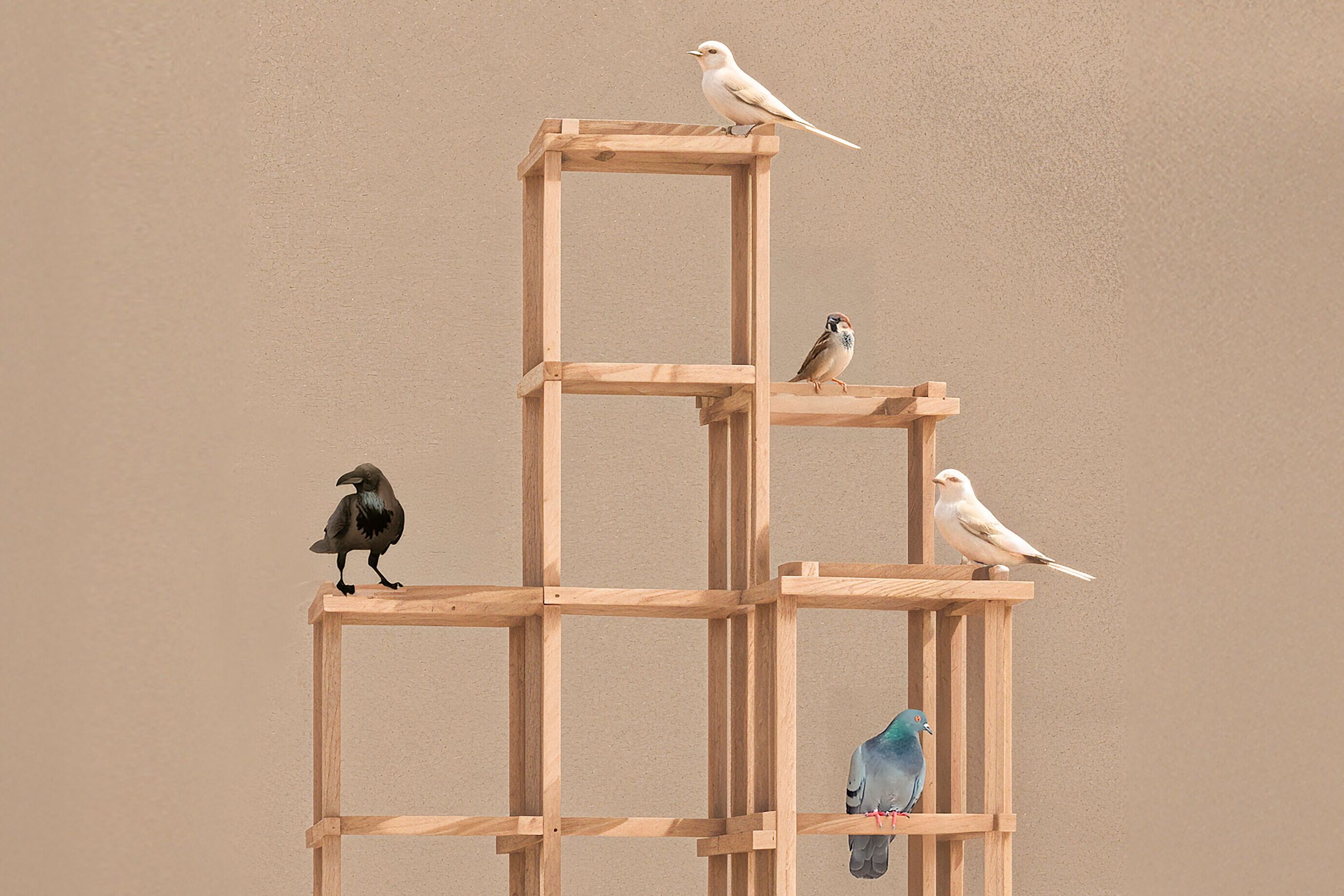 „Bird Station“ von Frida Escobedo