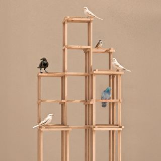 Baukunst für Spatzen: Diese Vogelhäuschen haben Star-Architekt:innen entworfen