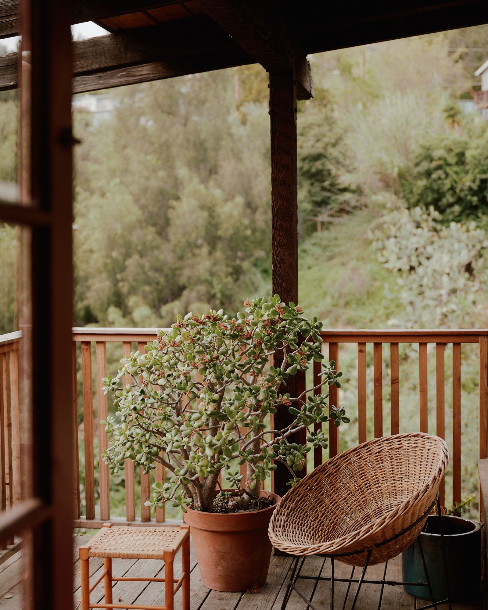 Renovierung FamilienHaus Los Angeles Terrasse Ausblick ins Grüne