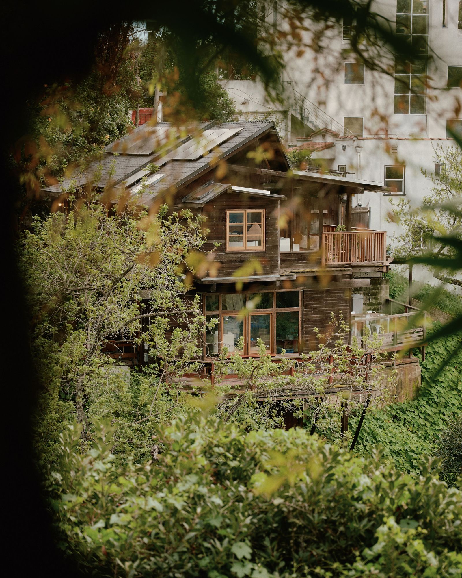 Renovierung Los Angeles FamilienHaus Außenansicht Holzverkleidung