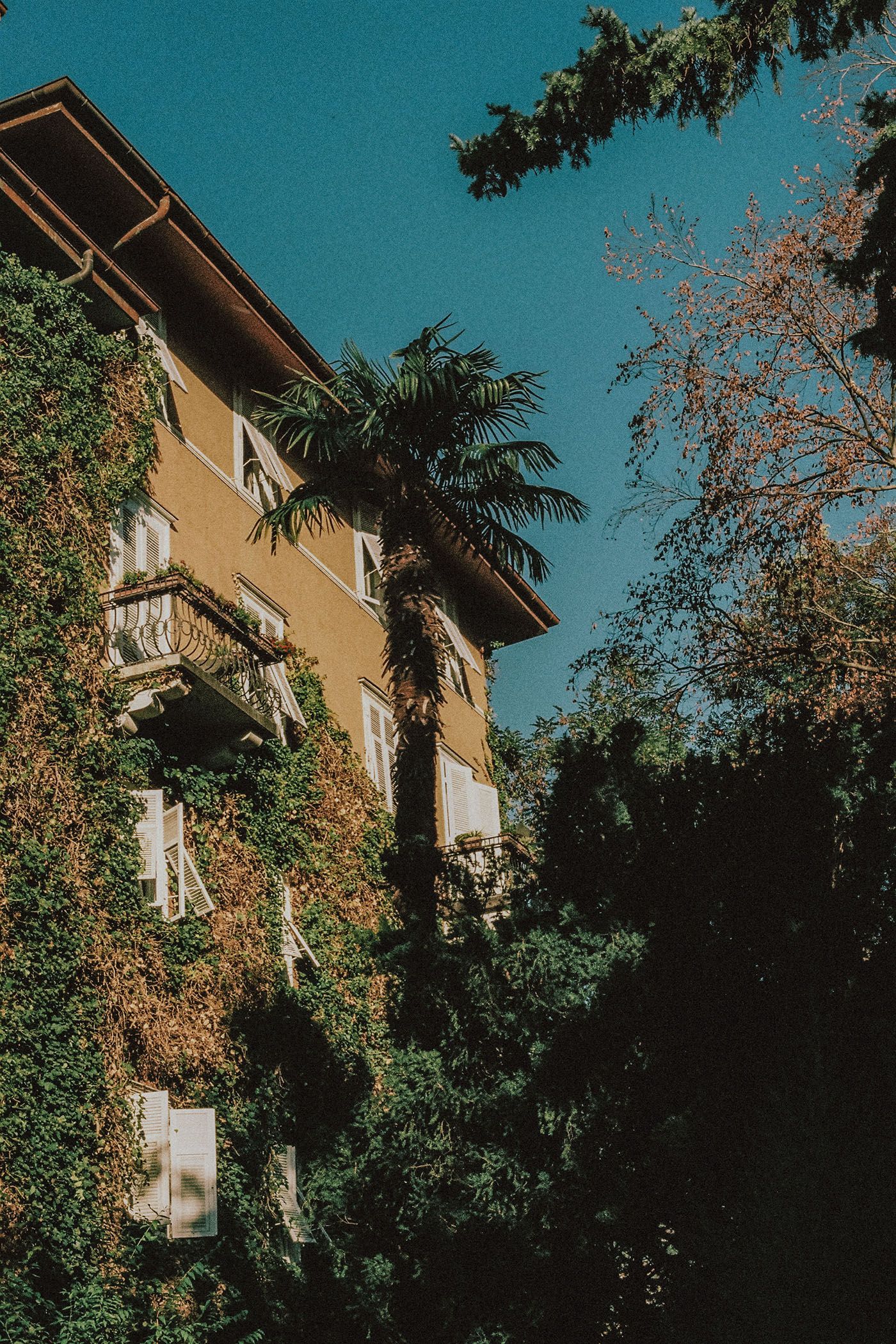 Boutique Hotel Parkhotel Mondschein Außen Fassade Palmen
