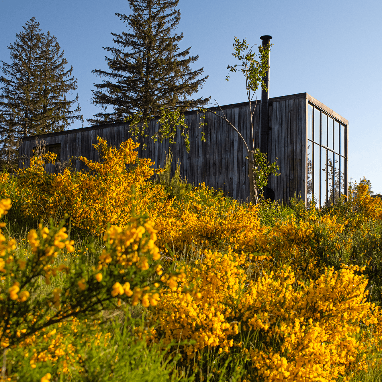 Diese 9 außergewöhnlichen Cabins in der Natur sind perfekt für einen Kurztrip im Herbst